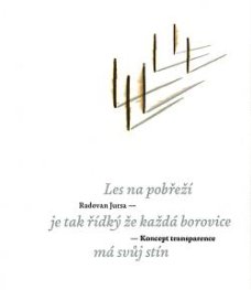 Koncept transparence