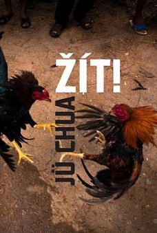 Žít