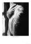 Man Ray : The Artist and His Shadows