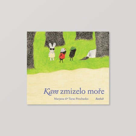 Kam zmizelo moře