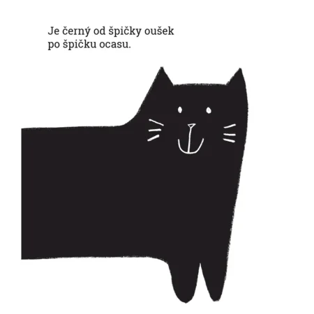 Černý kocour, bílá kočka
