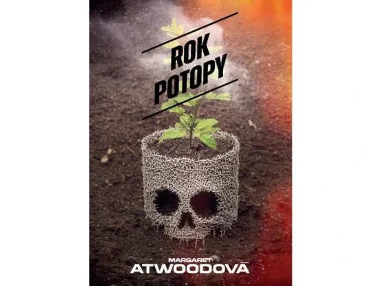 Rok potopy