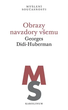 Obrazy navzdory všemu, G. Didi-Huberman