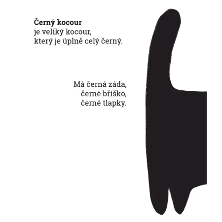 Černý kocour, bílá kočka