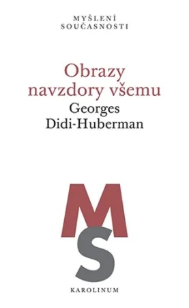 Obrazy navzdory všemu, G. Didi-Huberman