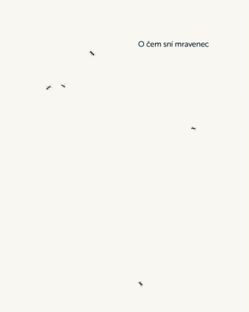 O čem sní mravenec