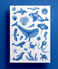 Patrik Antczak: Plakát - Zvířátka v moři