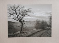 Jan Reich: The Road to Počepice, 1983