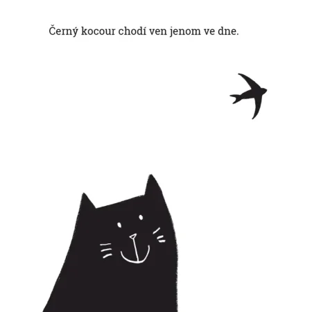 Černý kocour, bílá kočka