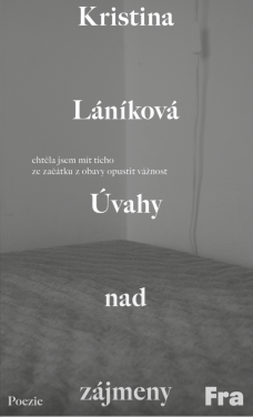 Úvahy nad zájmeny