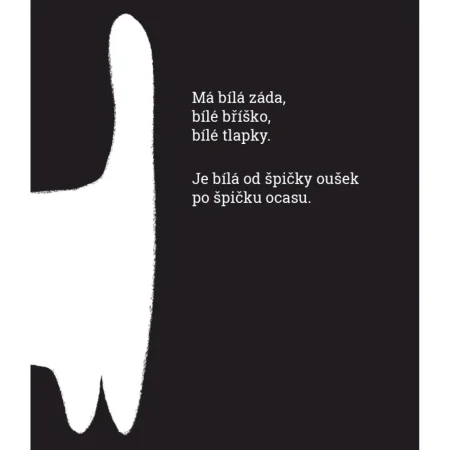 Černý kocour, bílá kočka