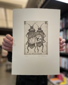 Jiří Slíva: Rodinka brouků