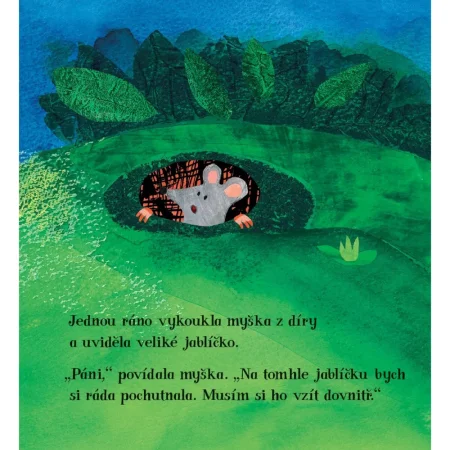 Nový domek pro myšku