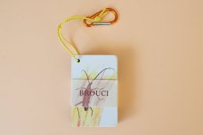 Atlas - Brouci