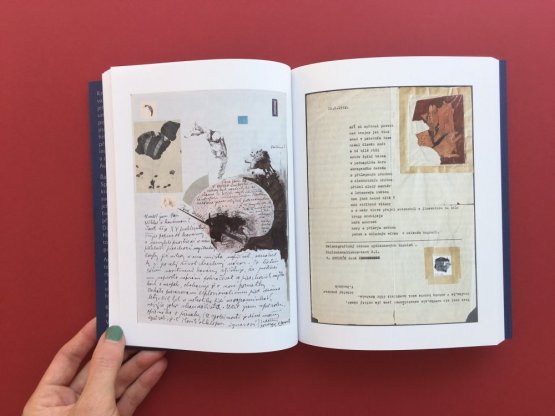 Bohumil Hrabal a výtvarné umění, E. Čapková