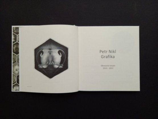 Petr Nikl - Grafika - Obrazový soupis 2013 - 2022